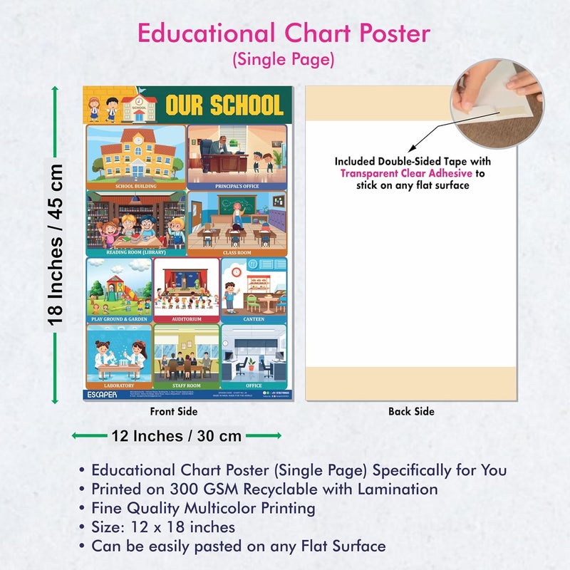 ESCAPER Our School Educational Charts for Kids, Charts for Kids Learning (11.5 x 17.5 inches), Kids Study Material, Kids Learning Books, Educational Posters - Image 3