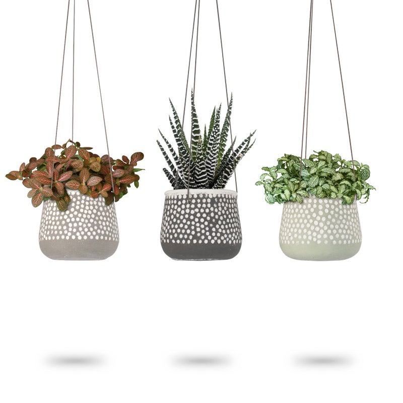 23 Bees 3 Pack Hanging Planter for Indoor Plants White Concrete Pots Round Air Succulent Holder Container Cactus Pot with Rope Hanger 23 Bees 3 Shades of Nature 