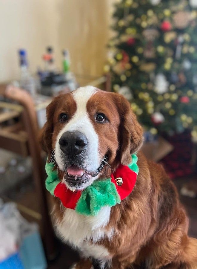 Midlee Red/Green Christmas Plush Bell Collar (Large)-Stretchy Holiday Dog Accessory - Image 4