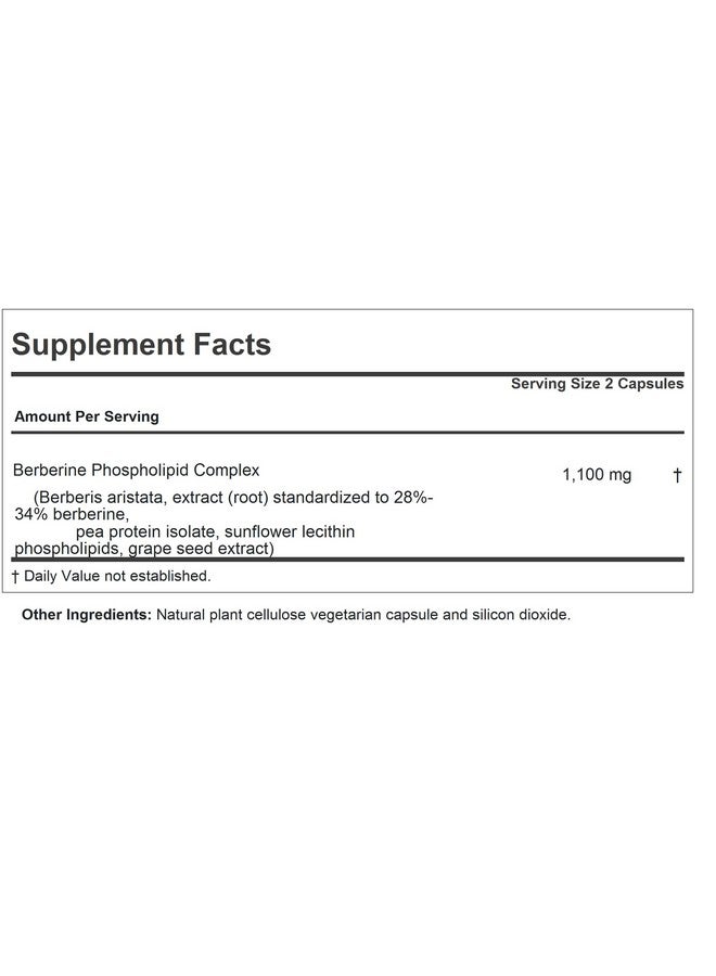 ANDREW LESSMAN Berberine Phospholipid Complex 30 Capsules - Barberry Root Extract. Small Easy to Swallow Capsules - Image 2