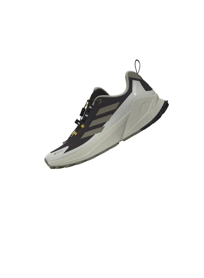 Adidas Terrex Trailmaker 2 Gtx X Ng W Purple Hiking Shoes