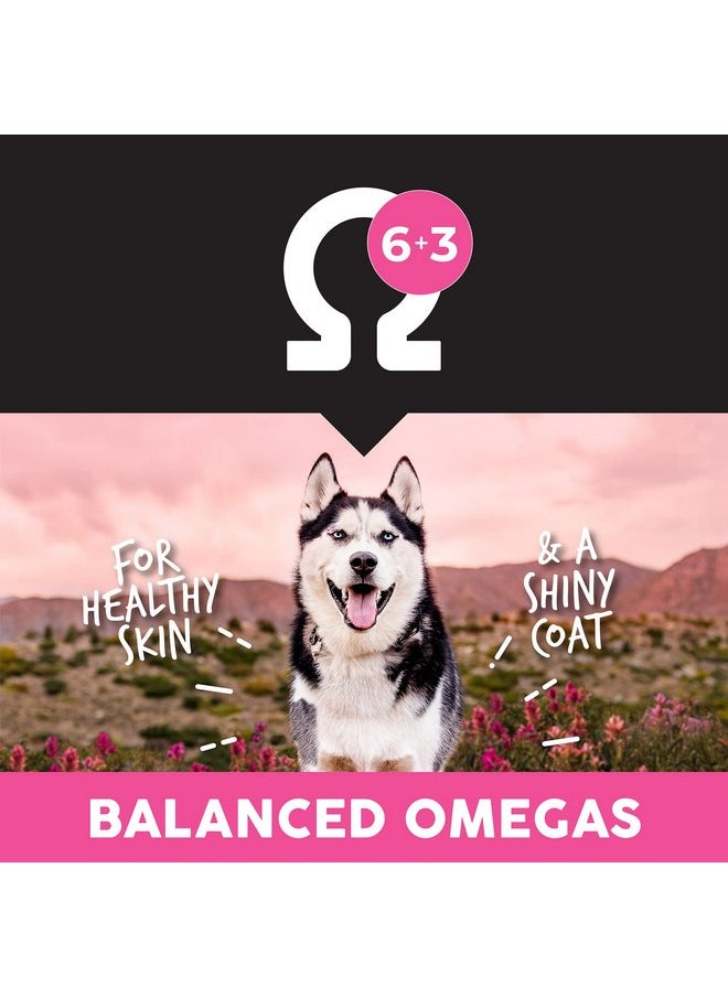 Earthborn Holistic Earthborn Holistic Ultimates Meadow Prime with Lamb Grain-Free Dry Dog Food  - Image 5
