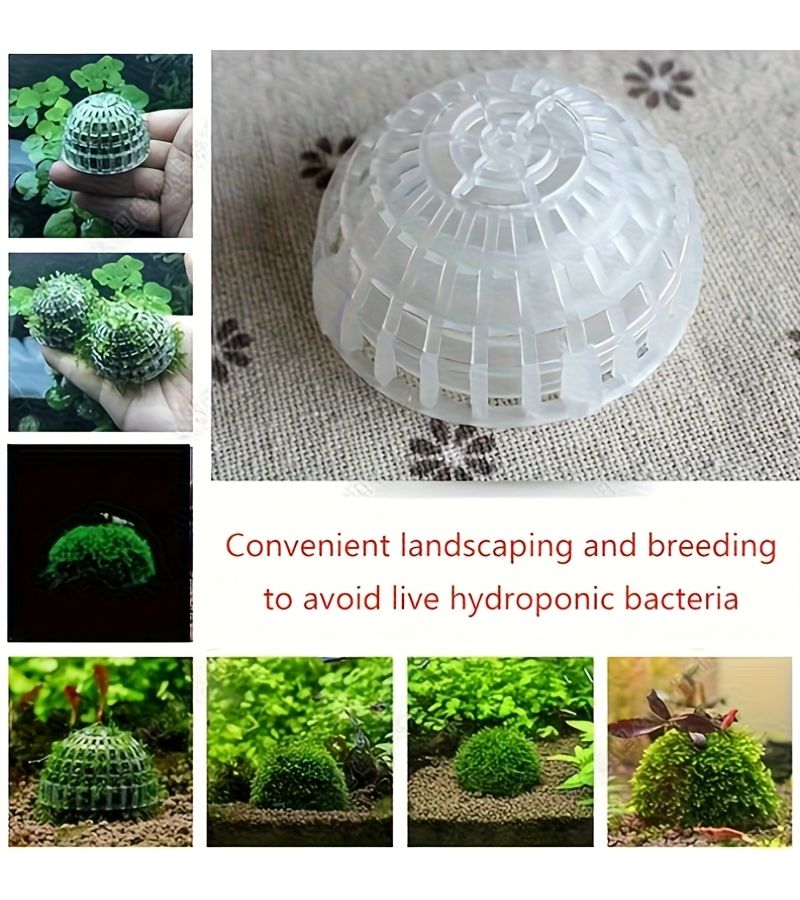 6 Pcs Freshwater Aquarium Moss Ball Holder With Filter Stone For Shrimp Tank Live Plant Shaping - Image 5
