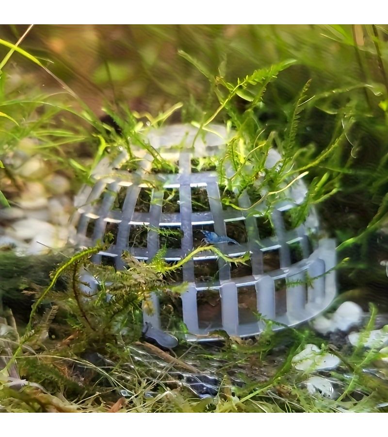 6 Pcs Freshwater Aquarium Moss Ball Holder With Filter Stone For Shrimp Tank Live Plant Shaping - Image 1