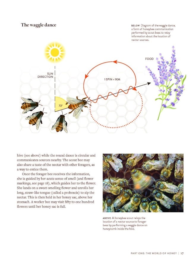 The World Atlas of Honey