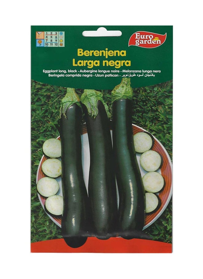 Euro Garden Euro Garden Eggplant Long  - Image 1
