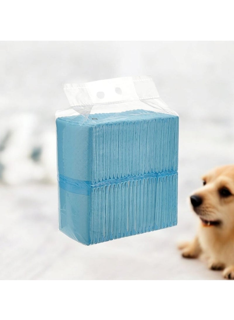 GOLDEN CAT - Pet Training Pads, Super Absorbent Puppy Pads, Anti Slip Toilet Pee Mat, Leak Proof & Quick Dry Pet Pads for Dogs, Cats, Rabbits, Pets, - 4 Bag X 40 Pads - Size, 60 X 60CM, - Total 160 Pads. - Image 1