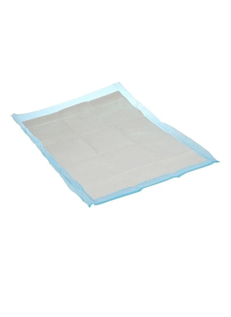 GOLDEN CAT - Pet Training Pads, Super Absorbent Puppy Pads, Anti Slip Toilet Pee Mat, Leak Proof & Quick Dry Pet Pads for Dogs, Cats, Rabbits, Pets, - 4 Bag X 40 Pads - Size, 60 X 60CM, - Total 160 Pads. - Image 1
