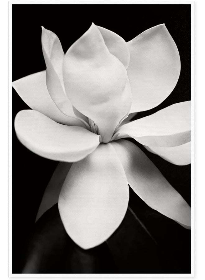 Home Trove Oitrela Canvas Prints Wall Art For Home and Office Wall Decoration Black And White Blooming Floral Canvas Artwork Print Painting Picture Flower Modern Abstract Unframe Wall Art for Living Room Bedroom  - Image 1