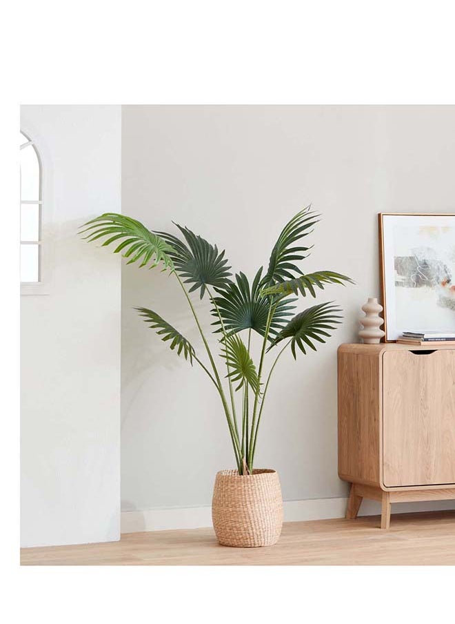 Home Box Teodoara Fan Palm Tree 160 cm  - Image 1