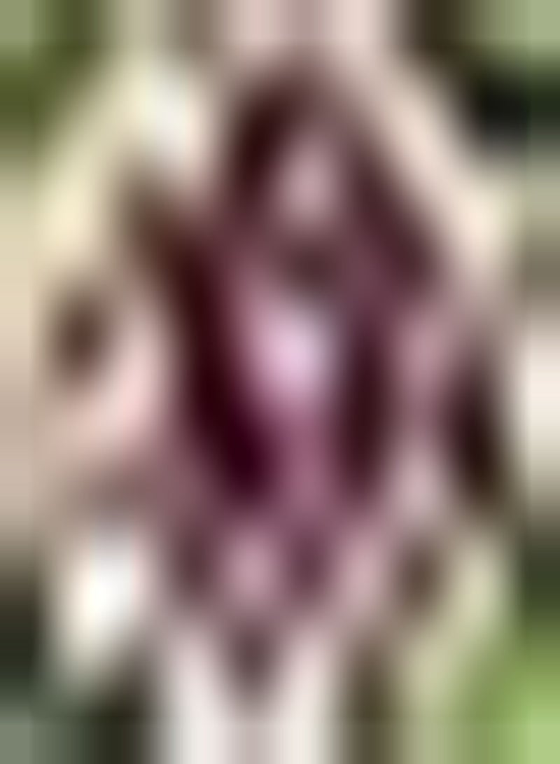 GGOOT 3pcs Mixed Color Dahlia Seeds Exotic Garden Fragrant Variety DIY Craft Art Decoration Cultivate Planting Interest Create Beautiful Environment Easy to Care - Image 1