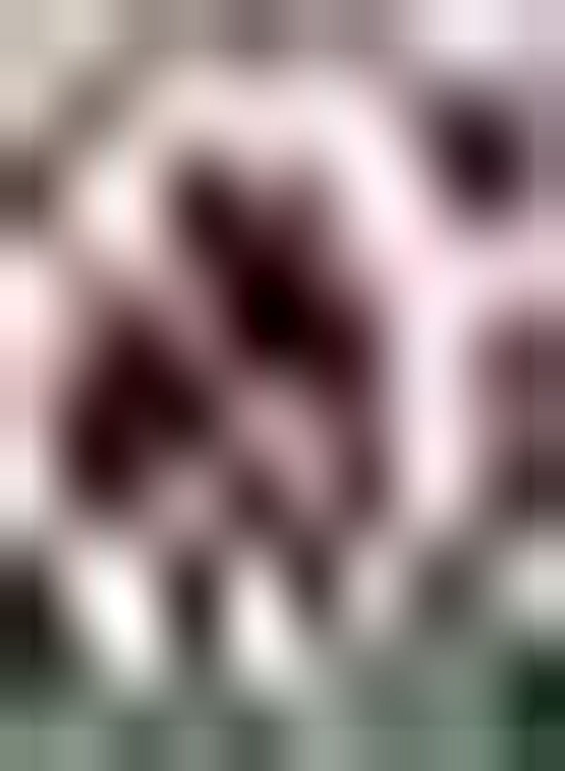 GGOOT 3pcs Mixed Color Dahlia Seeds Exotic Garden Fragrant Variety DIY Craft Art Decoration Cultivate Planting Interest Create Beautiful Environment Easy to Care - Image 2