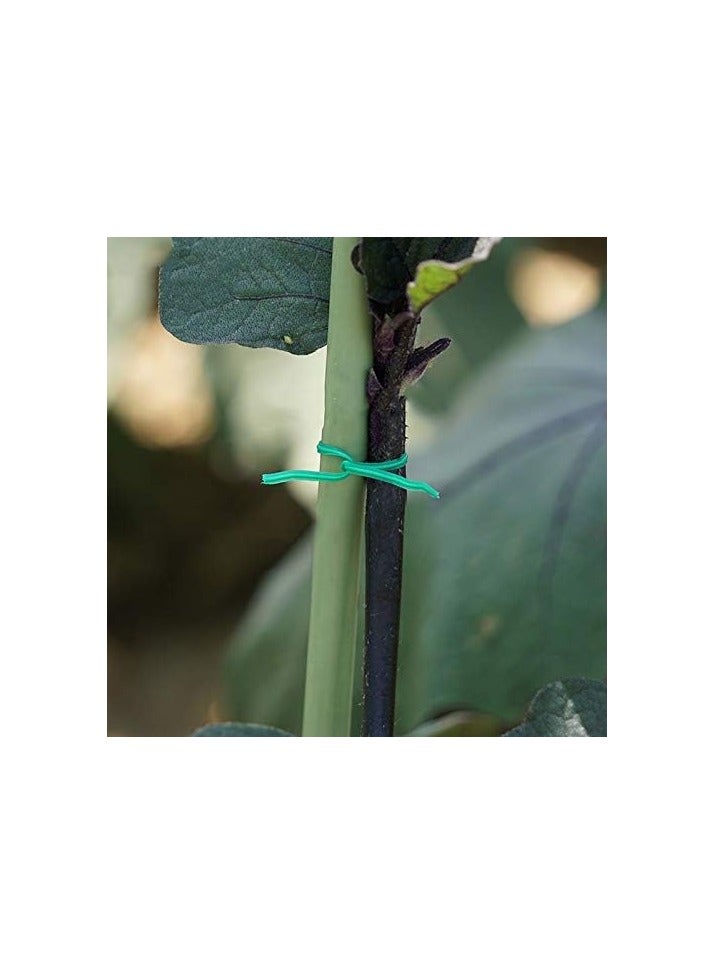 هونغتاي HONGTAI Garden Twist Tie كابل ربط كابل بلاستيكي سلك بكرة كابل مع قاطع البستنة نبات بوش زهرة ربطة كابل (الحجم: 50 متر) - Image 4