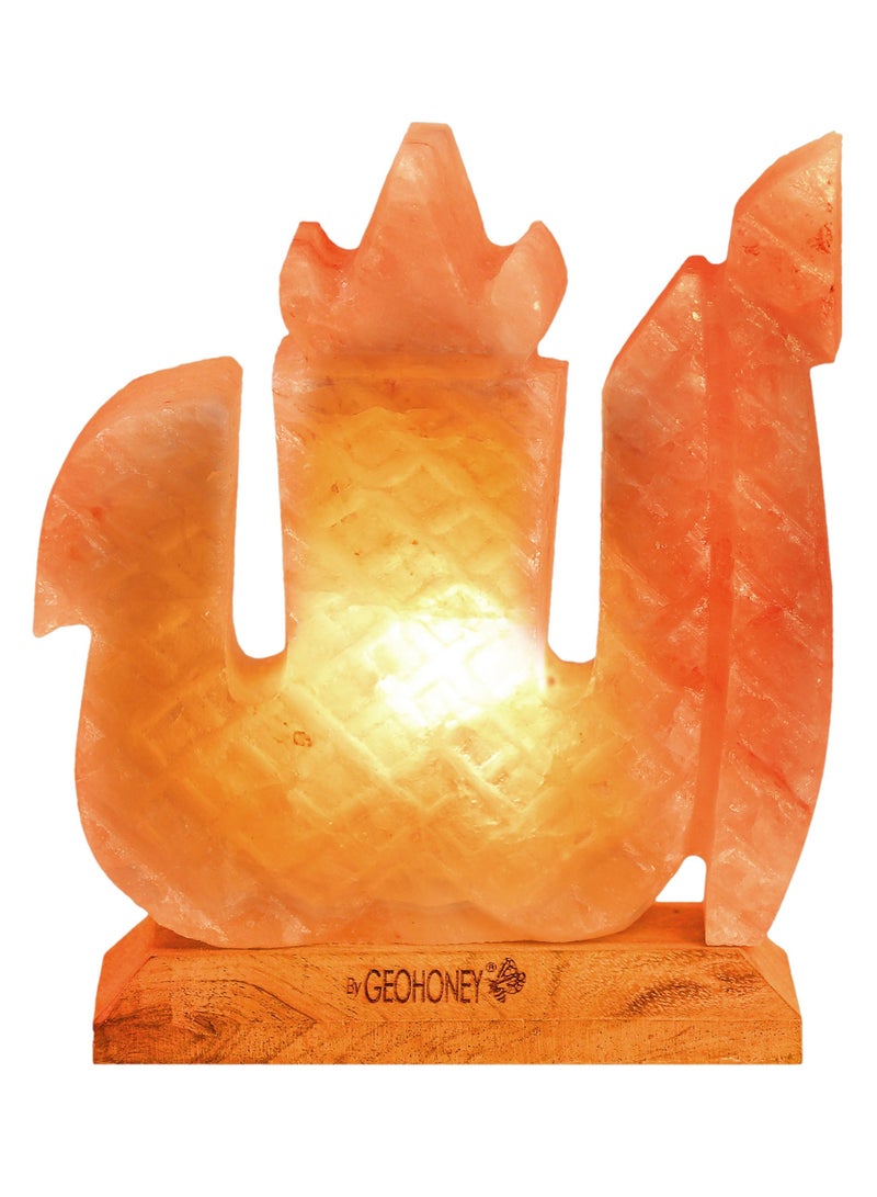 Geohoney - Himalayan Salt Lamp Allah Name Shape - Image 1