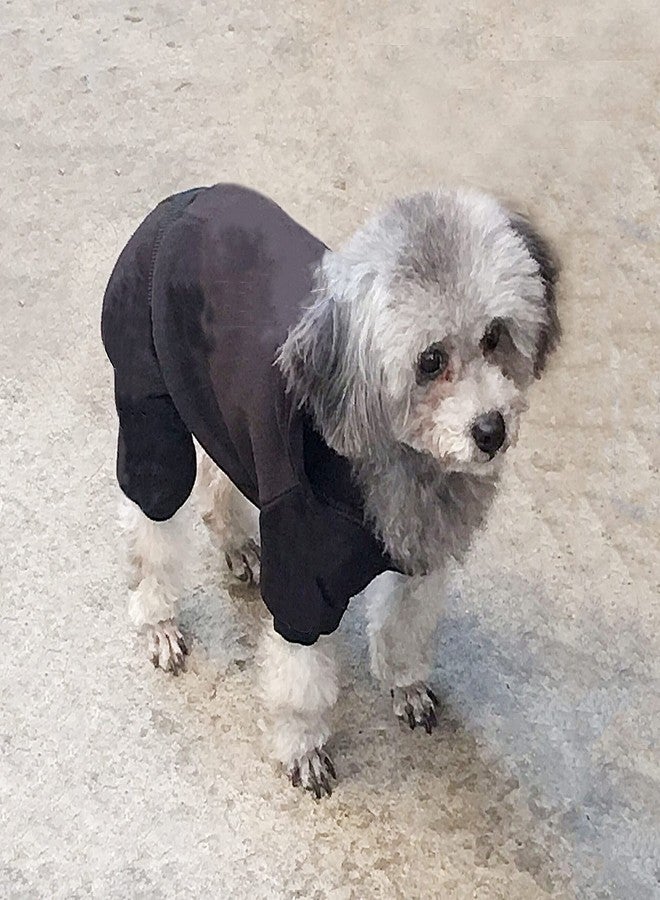 LifeWheel Fleece Dog Sweatshirt with Buttons, Winter Warm Cotton Puppy Hoodie, Dog Pajamas, Cold Weather Coats for Small, Medium, Large Dogs & Cats - Image 4
