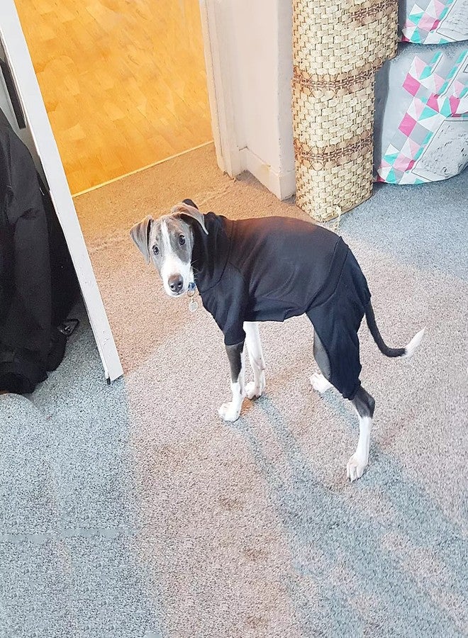 LifeWheel Fleece Dog Sweatshirt with Buttons, Winter Warm Cotton Puppy Hoodie, Dog Pajamas, Cold Weather Coats for Small, Medium, Large Dogs & Cats - Image 3