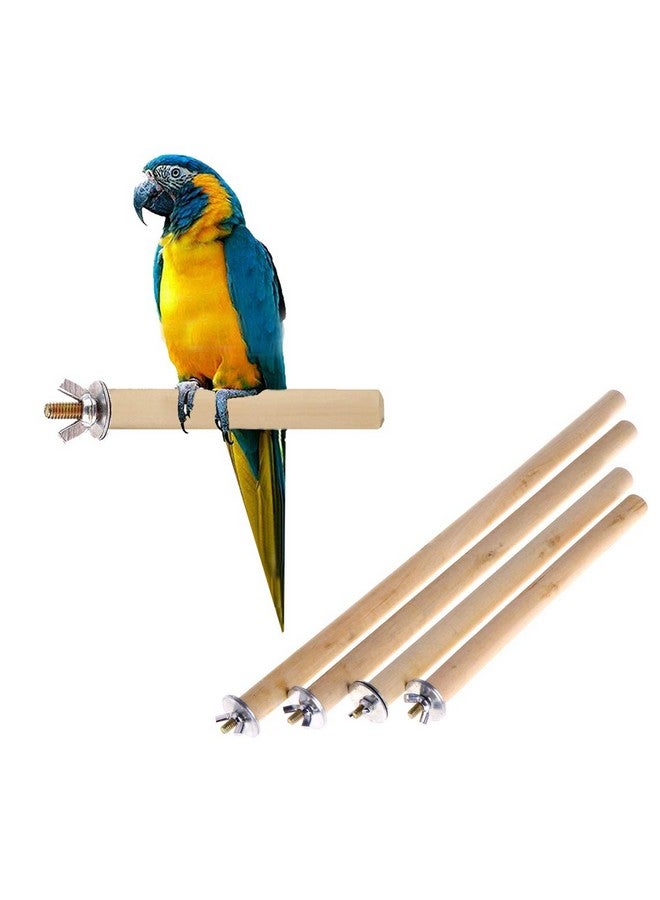 Sage Square عصا خشبية طبيعية من ساج سكوير مع مجموعة من 4 عصي خشبية/وقوف/لعب للطيور البادجي/الكوكاتيل/الببغاء/الهامستر/السنجاب (خفيفة الوزن) (الأحجام - 4" 6" 8" 10" مجموعة مكونة من 4) - Image 2