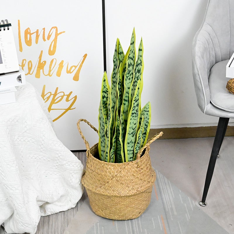Simulated Tiger Orchid Single Potted Plant Decoration Indoor And Outdoor Home Green Plant Agave Sisal Bonsai Living Room Office - Image 5