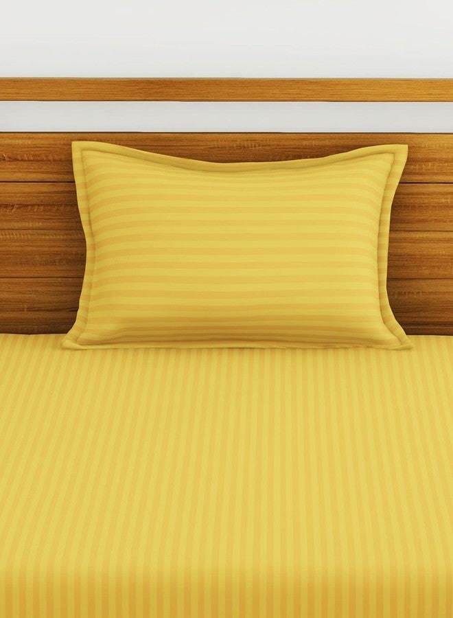 BIANCA 210TC Super Soft 100% Egyptian Cotton Satin Stripe Single Bedsheet with 1 Pillow Cover -2Pc Set (Hilton) Stripe-Gold - Image 2