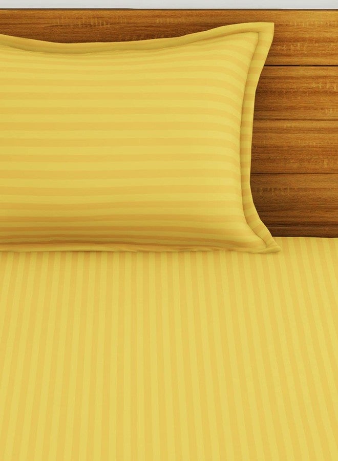 BIANCA 210TC Super Soft 100% Egyptian Cotton Satin Stripe Single Bedsheet with 1 Pillow Cover -2Pc Set (Hilton) Stripe-Gold - Image 4