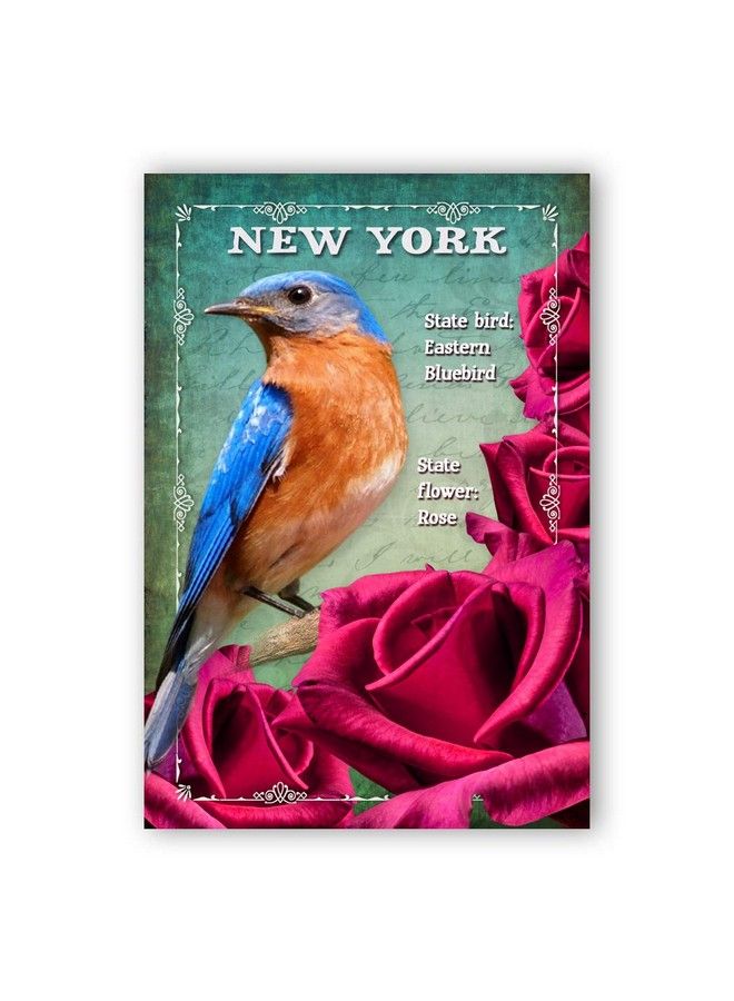 Postcard Fair New York Bird And Flower Postcard Set Of 20 Identical Postcards. Ny State Symbols Post Cards. Made In Usa. - Image 2