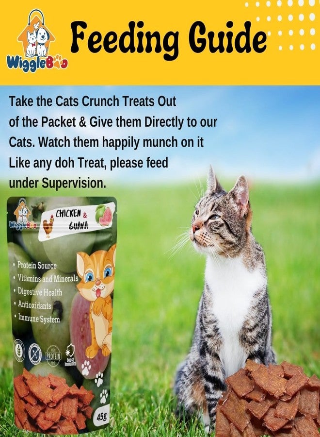 WiggleBoo Chicken & Guava Cat Treat | Protein Rich | Fiber Rich | Crunchy Healthy Snacks | 100% Natural | 45g, All Life Stages, Chips - Image 5