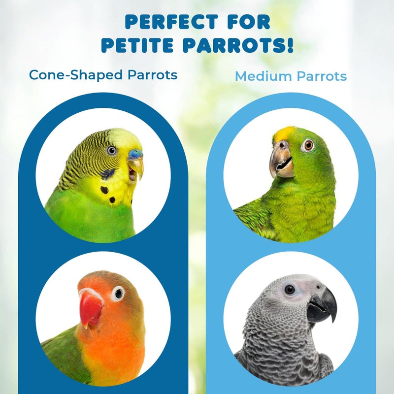 SunGrow Parrot Toy â€“ Bird Foraging & Chew Toy with Wooden Blocks and Cotton Rope, Hanging Cage Accessory for Conures, Budgies, Parakeets & Other Small Birds - Image 5