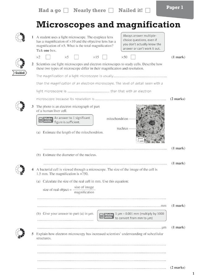 Pearson REVISE AQA GCSE (9-1) Biology Foundation Revision Workbook: For 2024 and 2025 assessments and exams (Revise AQA GCSE Science 16)  - Image 5