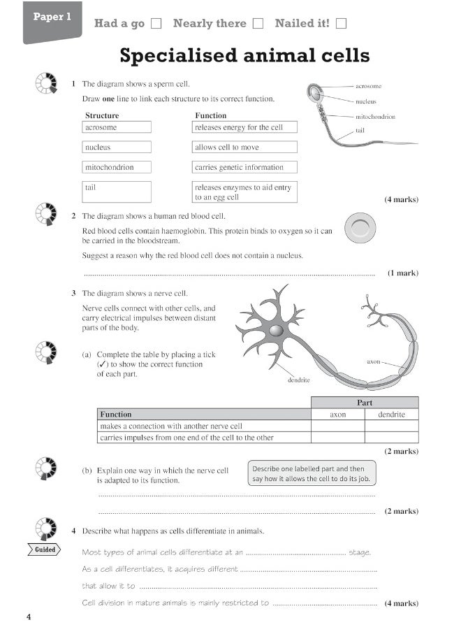 null - Pearson REVISE AQA GCSE (9-1) Biology Foundation Revision Workbook: For 2024 and 2025 assessments and exams (Revise AQA GCSE Science 16) - Image 1