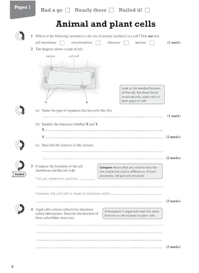 null - Pearson REVISE AQA GCSE (9-1) Biology Foundation Revision Workbook: For 2024 and 2025 assessments and exams (Revise AQA GCSE Science 16) - Image 1