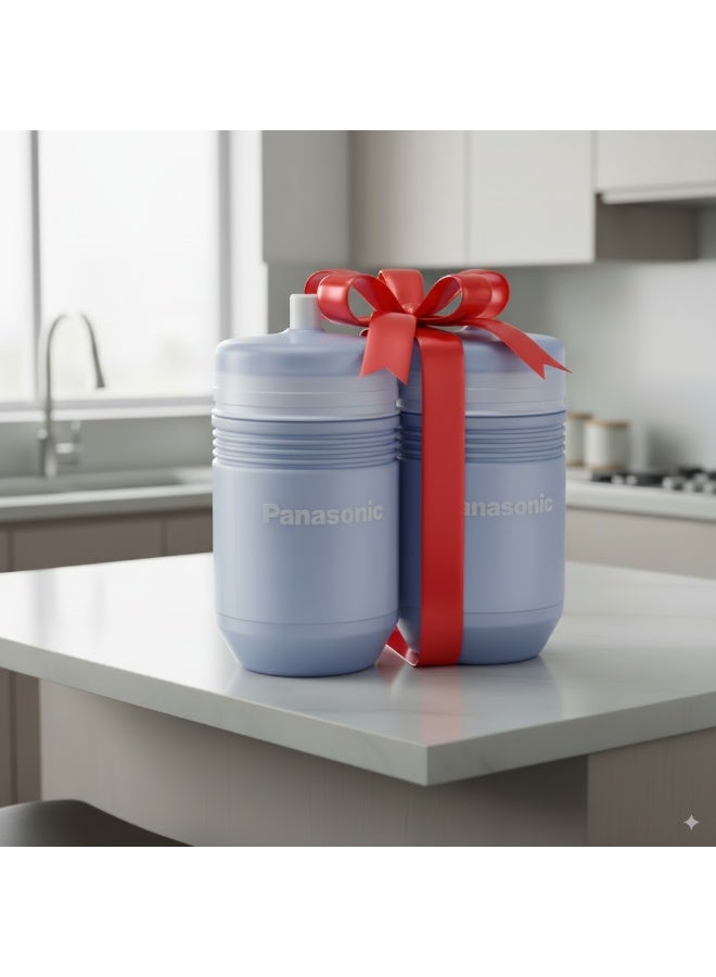 Panasonic 2 Candle  Panasonic Filter