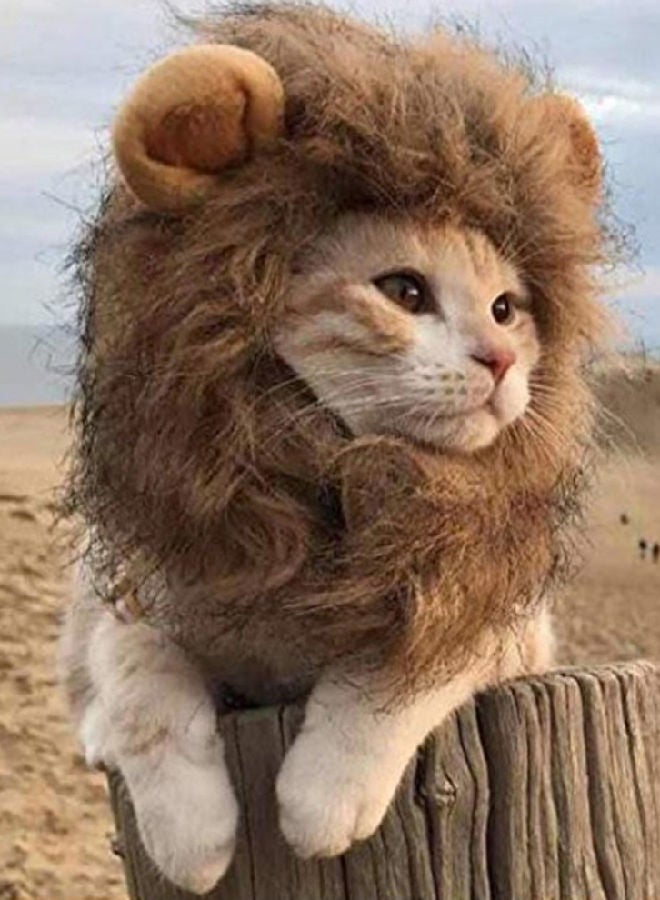 NIBEMINENT Lion Headgear Cute Costume Brown 24x20x2cm - Image 1