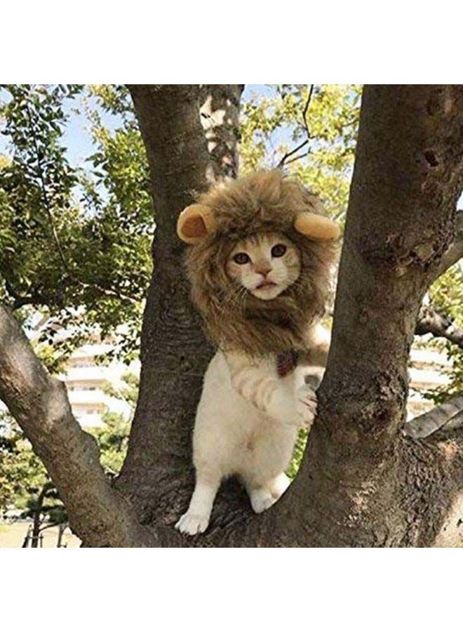 NIBEMINENT Lion Headgear Cute Costume Brown 24x20x2cm - Image 2