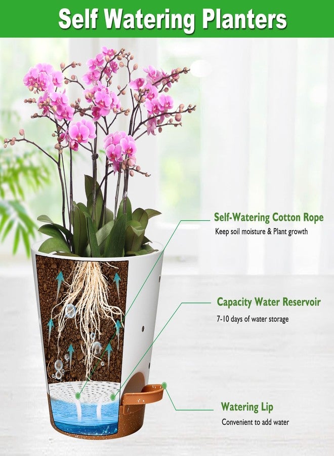 Vanslogreen Orchid Pots with Holes, 6 Inch Self Watering Orchid Pot 3 Pack Plastic Plant Pots for Orchid, Flower (Multicolor) - Image 3