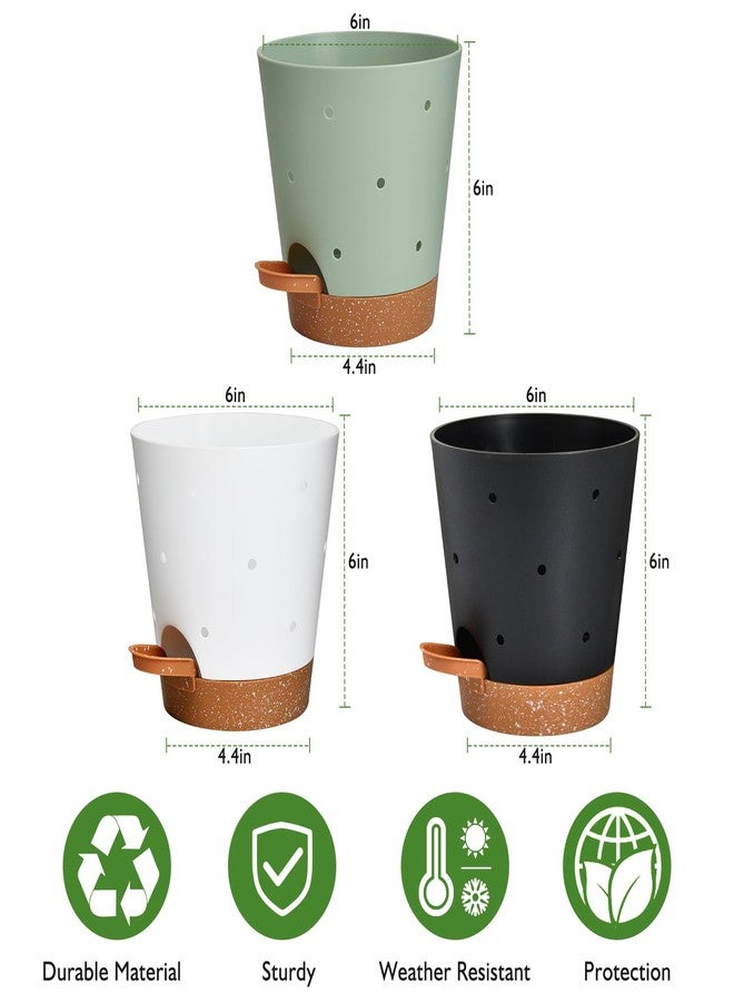 Vanslogreen Orchid Pots with Holes, 6 Inch Self Watering Orchid Pot 3 Pack Plastic Plant Pots for Orchid, Flower (Multicolor) - Image 5
