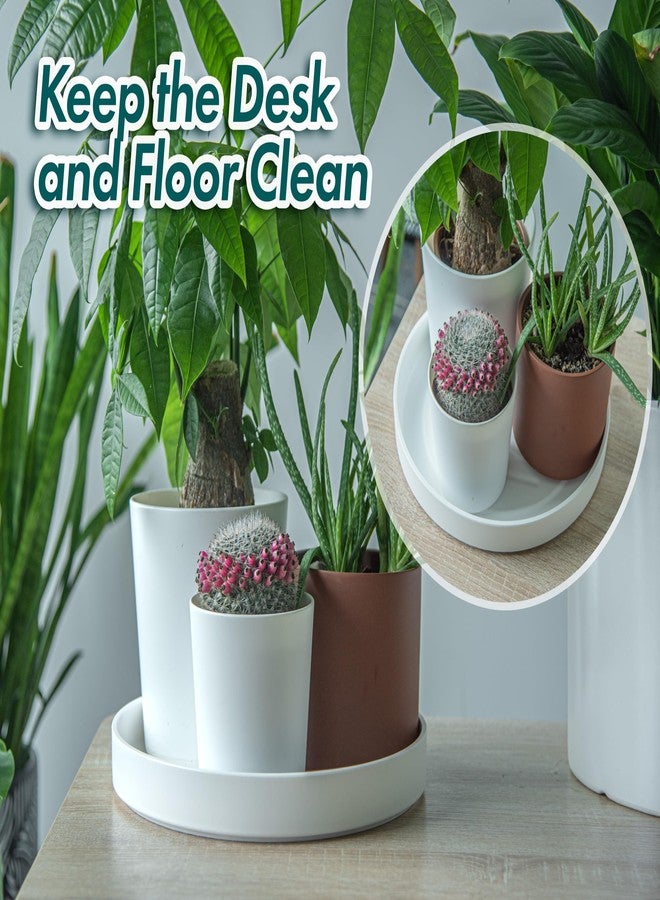 Phoenix Vine 12 Inch Plastic Plant Saucer Water Drip Tray, Heavy Sturdy Round Plant Drainage Tray for Indoors Outdoor, Matte White, 21-TY-12W-1 - Image 3