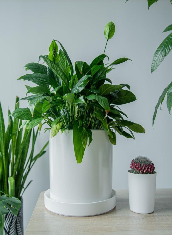 Phoenix Vine 12 Inch Plastic Plant Saucer Water Drip Tray, Heavy Sturdy Round Plant Drainage Tray for Indoors Outdoor, Matte White, 21-TY-12W-1 - Image 5