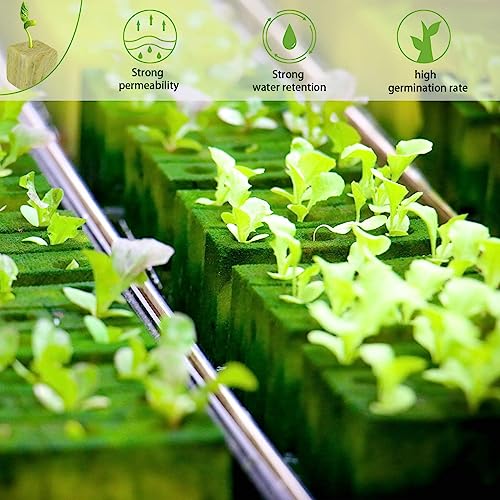 Halatool 1 Inch Rockwool Cubes Garden Rock Wool Stonewool Grow Cubes Starter Plugs for Hydroponics Soilless Cultivation Clone Plants Germination Start (4 Sheets, 200 Plugs in Total) - Image 4