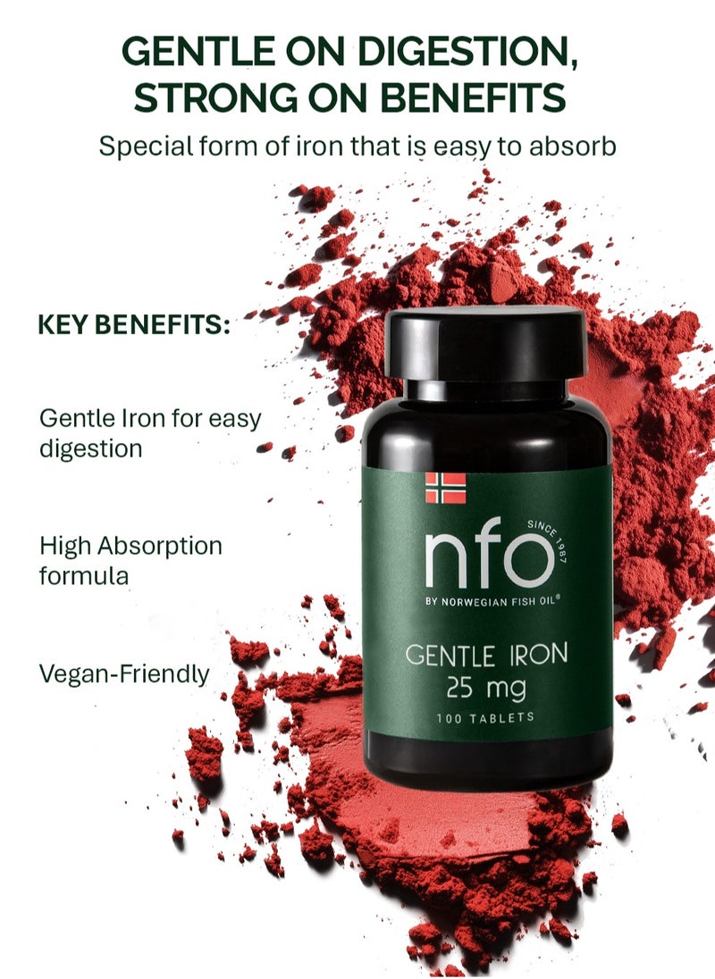 NFO NFO GENTLE IRON [100 Tablets]  - Image 2