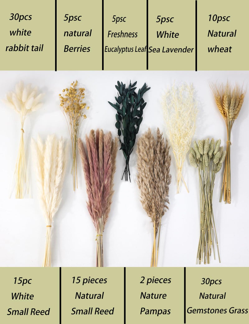 xin's convey 126pcs Dried Pampas Grass Decorations, (Vase Not Included), Dried Flowers Bouquet, Reed Grass Bouquet for Boho Floral Wedding, Bedroom, Rustic Farmhouse Decor. - Image 2