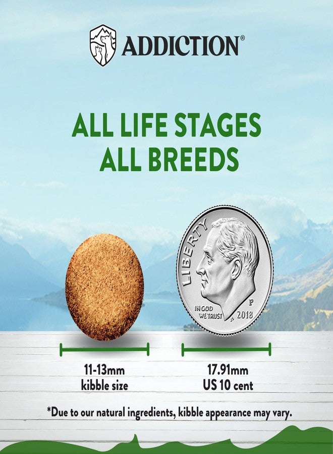 Addiction Zen Vegetarian Dry Dog Food - Plant-Based Protein for Dogs with Meat Allergies & Sensitive Skin - Vegetarian Dog Food for All Life Stages - Made in New Zealand 4lb - Image 3
