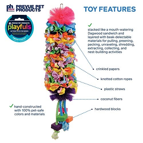 PH Prevue Hendryx Prevue Pet Products 62607 Calypso Creations Dagwood Bird Toy, Multicolor - Image 3