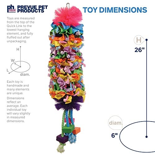 PH Prevue Hendryx Prevue Pet Products 62607 Calypso Creations Dagwood Bird Toy, Multicolor - Image 2