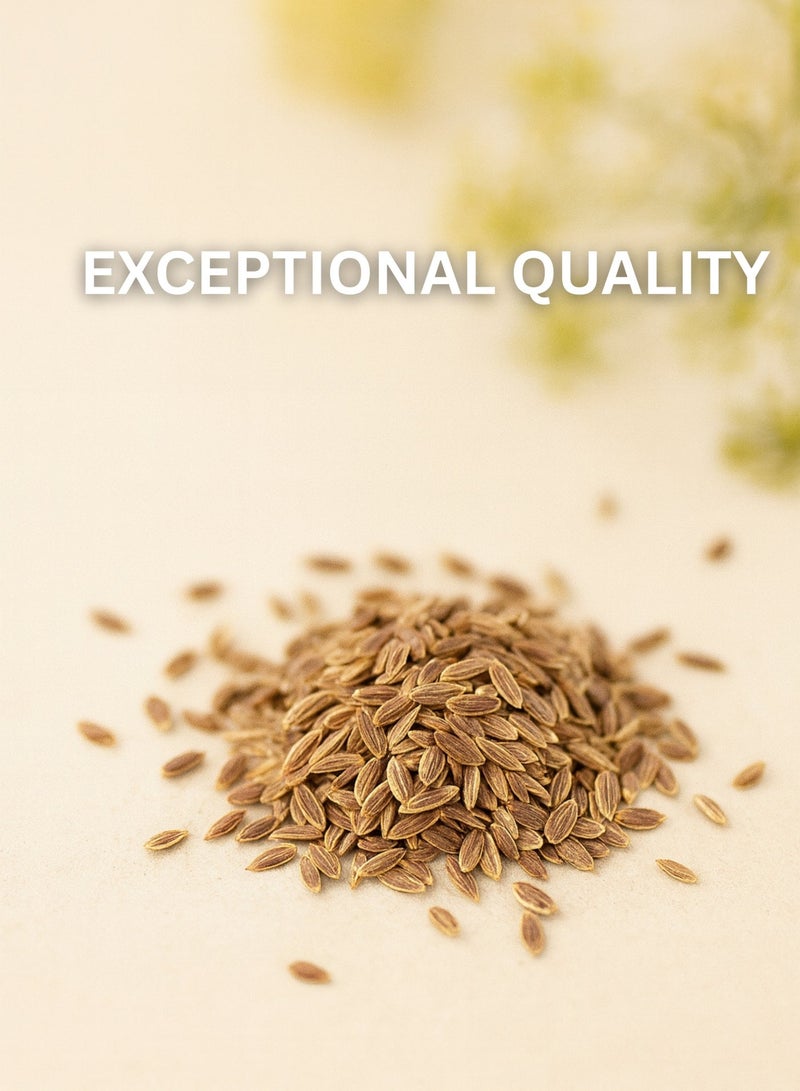 زهر بذور الشبت (بذور سوفا) من AL ZAHR - بذور مجففة عالية الجودة، نقية 100%، مصنفة يدويًا - متعددة الاستخدامات في الطهي والحرف اليدوية والاستخدامات العشبية - Image 3