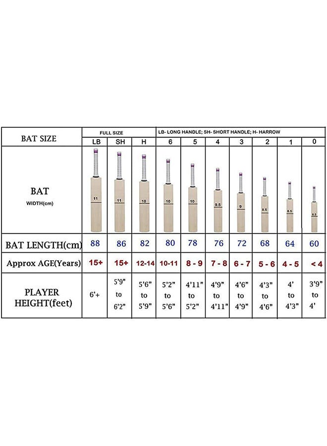 SG Cobra Gold Kashmir Willow Cricket Bat - Image 4