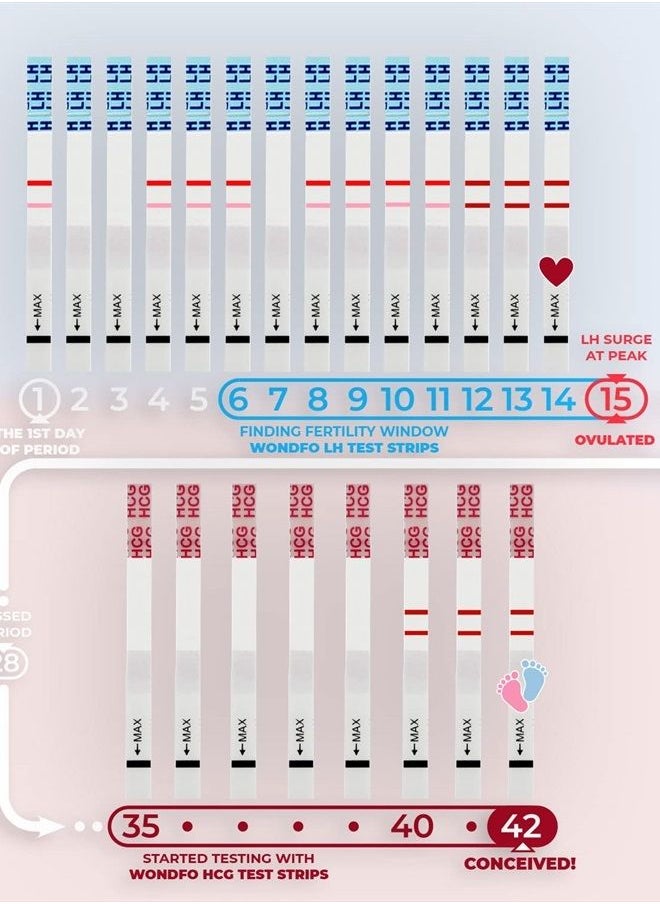Wondfo - 50 Ovulation Test Strips and 20 Pregnancy Test Strips Kit - Rapid Test Detection for Home Self-Checking (50 LH + 20 HCG) EXP:11/9/2023 - Image 1