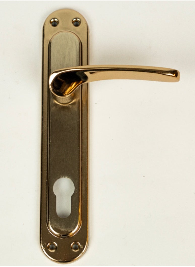 Siag Siag Cylinder Door Handle  - Image 1