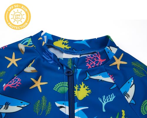 upandfast Baby Toddler Boys Rash Guard Zipper Swimsuit UPF 50+ One Piece Beach Swimwear Bathing Suits (Blue Shark, 12-18 Months) - Image 4