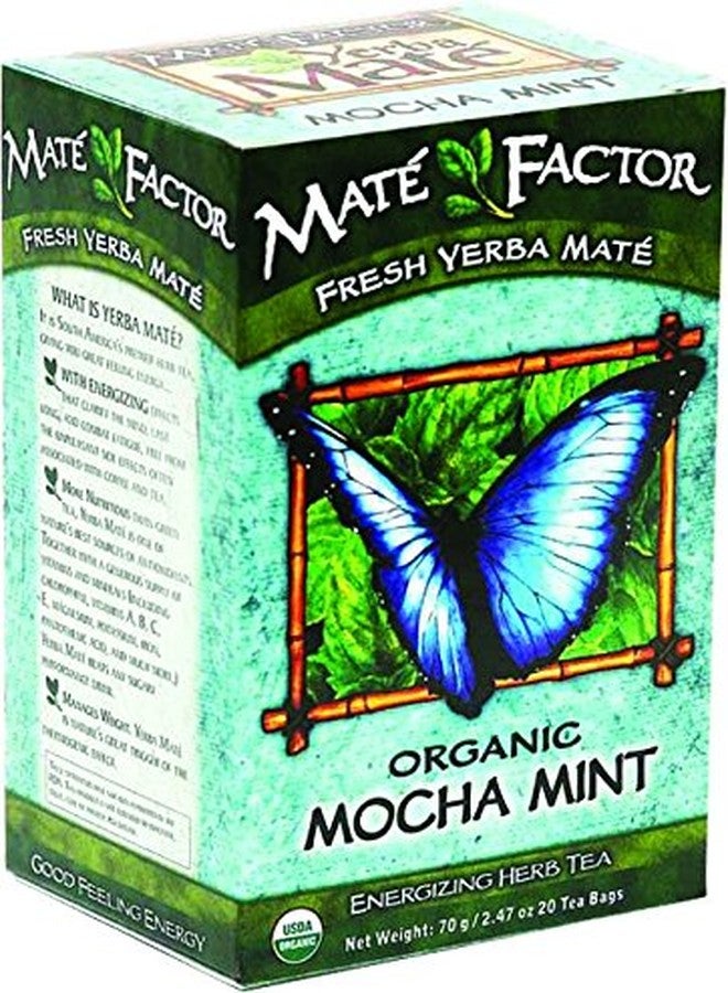 Yerba Mate - The Mate Factor Orrganic Yerba Mate, Mocha Mint, 24 ea