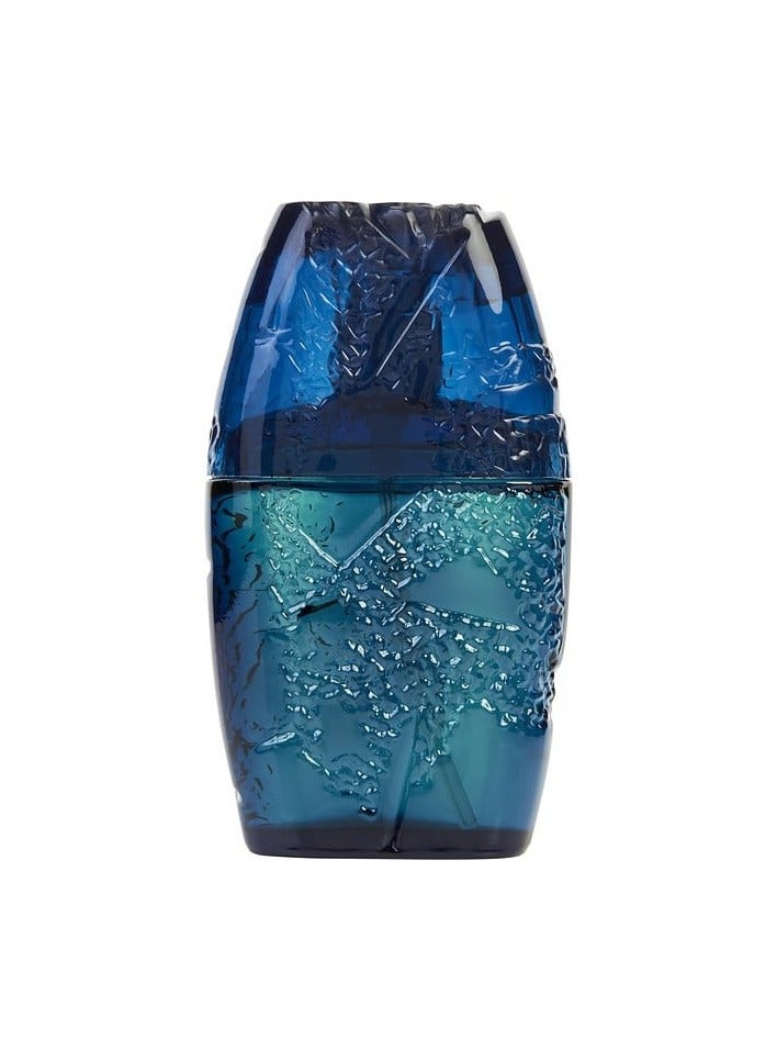 Guy Laroche Horizon Guy Laroche pour homme eau de toilette 100ml edt spray - Image 1